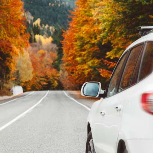 White car on a road with fall foliage