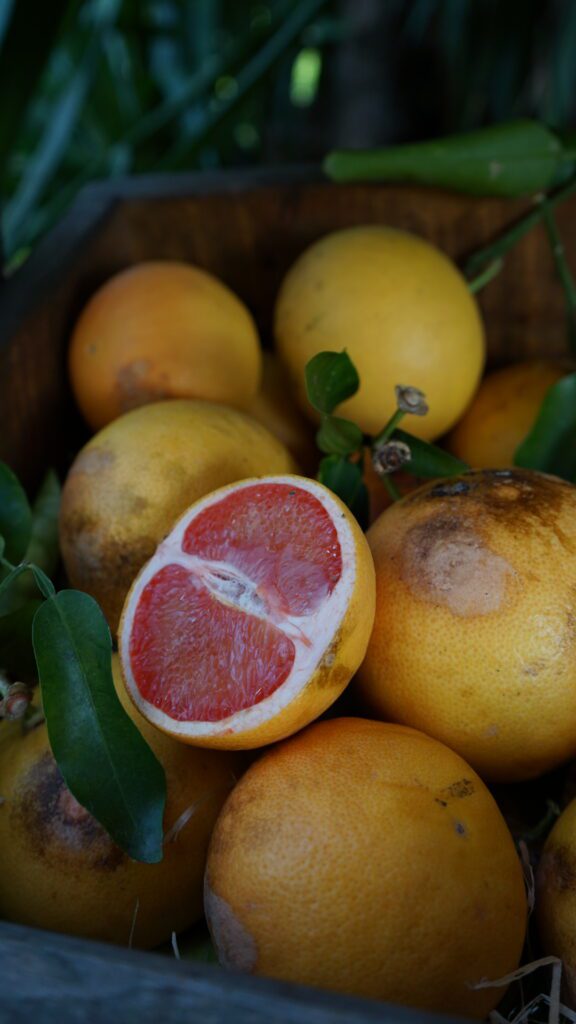 Grapefruit cut open at Maison Gannac