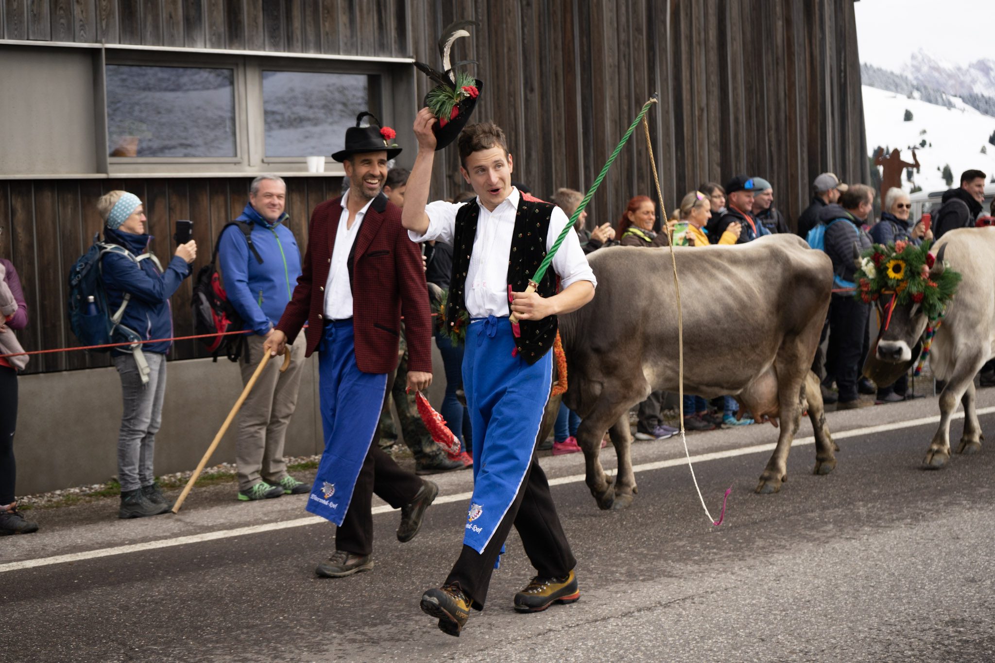 An Alma Treib in Compatsch