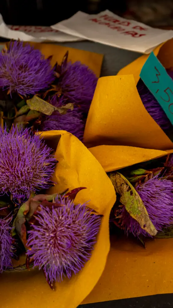 Vibrant purple artichoke heart flowers for sale at the Rialto Market