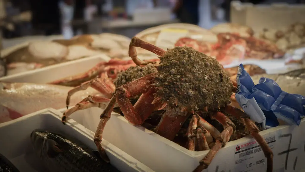 During this best tour of venice, you can see crab at the rialto market