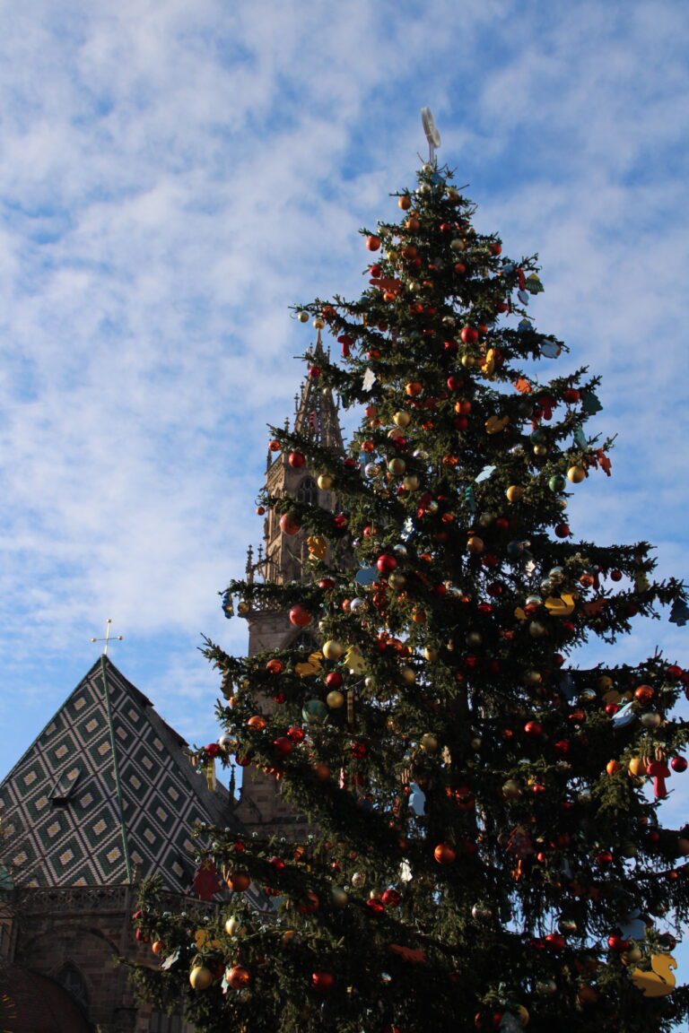 A Christmas Tree stands out against the Skyline at the Bolzano Christmas Market