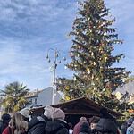 Christmas Market Tree in Bolzano