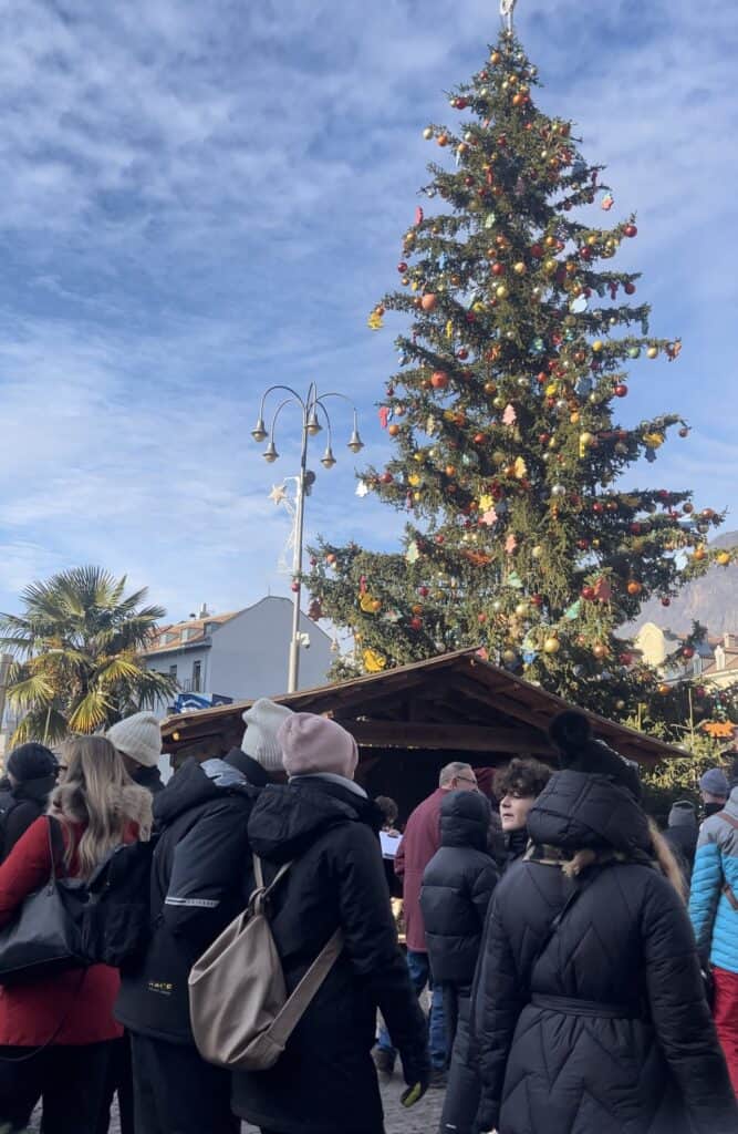 Christmas Market Tree in Bolzano