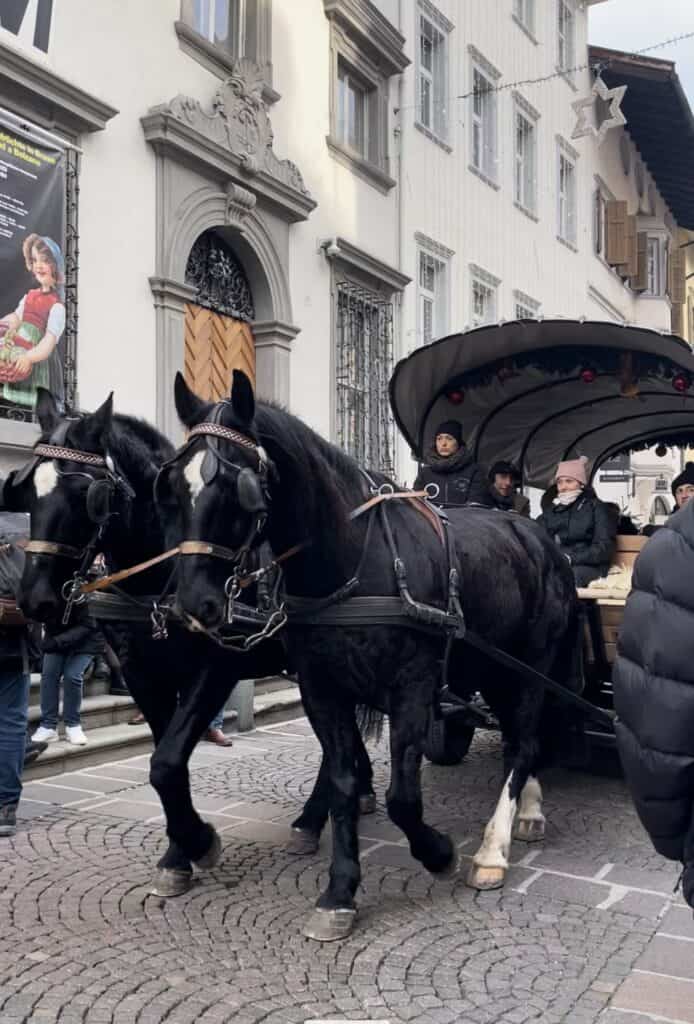 Horses drawing a carriage