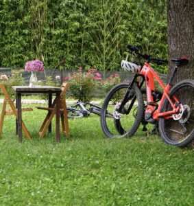 ebike sitting up against a tree amongst green grass