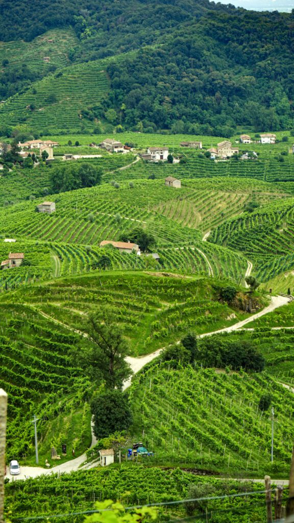 Prosecco Hills vineyards shot from above showcasing teraced fields