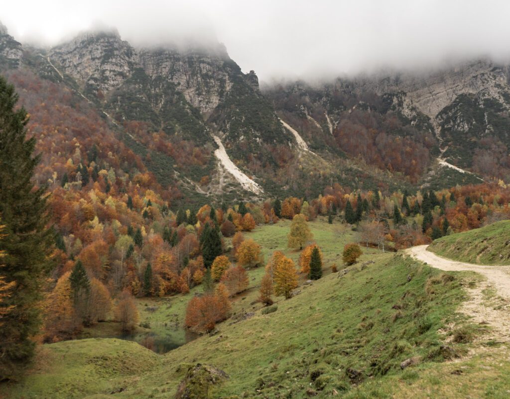 Sentiero Grandi Alberi Meadow with fall colors. 