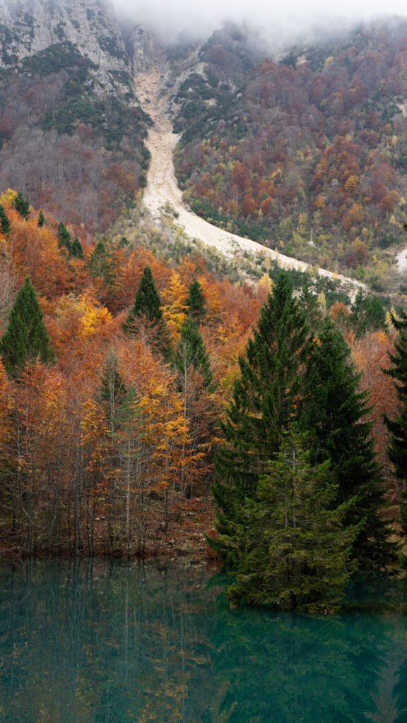 Trees hover over a teal lake on the sentiero grandi albero