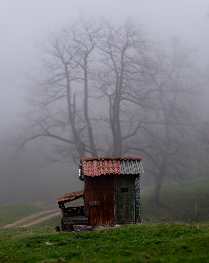 Shack on Sentiero Grandi Alberi