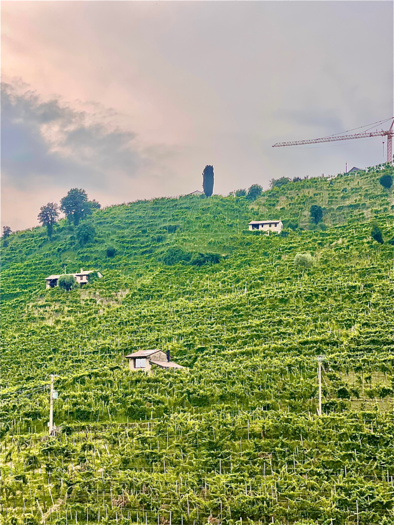 vineyards stretch across the photo with a sun peeking through the clouds in Valdobbiadene Italy on An ebike adventure to the prosecco hills