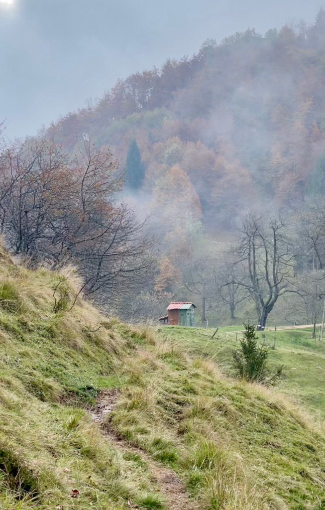 Misty trail conditions on Sentiero Grandi Alberi in the Vicenza Prealps during autumn hike