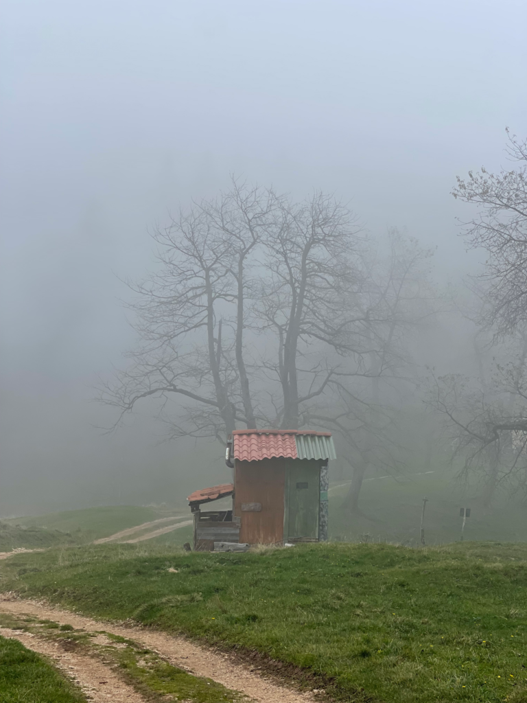 Foggy alpine landscape with small hut along Sentiero Grandi Alberi near Vicenza Italy