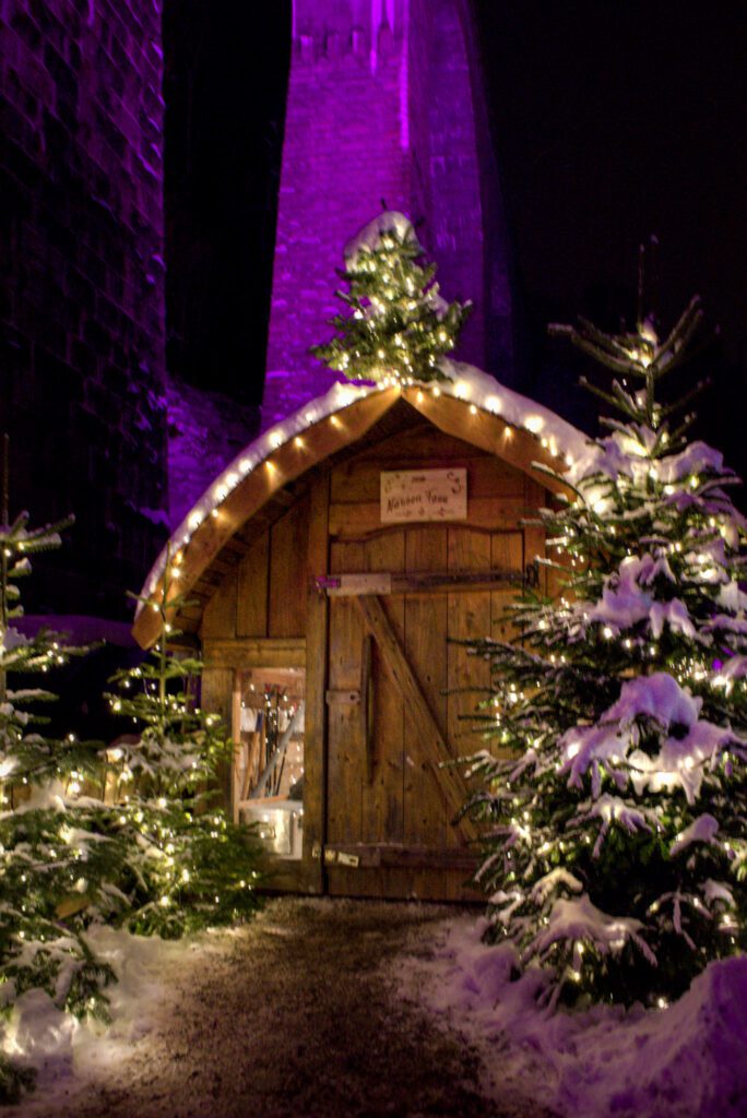 A shack illuminated with christmas lights and surrounded by christmas trees at the Ravenna Gorge Christmas Market.