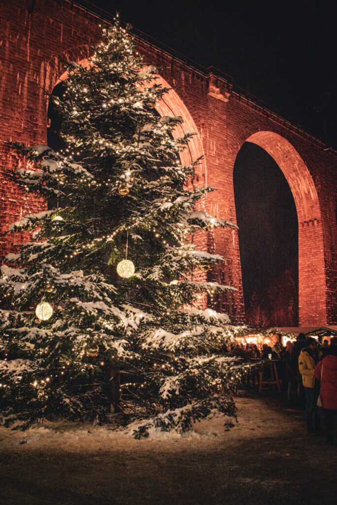 Ravenna Gorge Christmas Tree with the Famous arched bridge behind it.