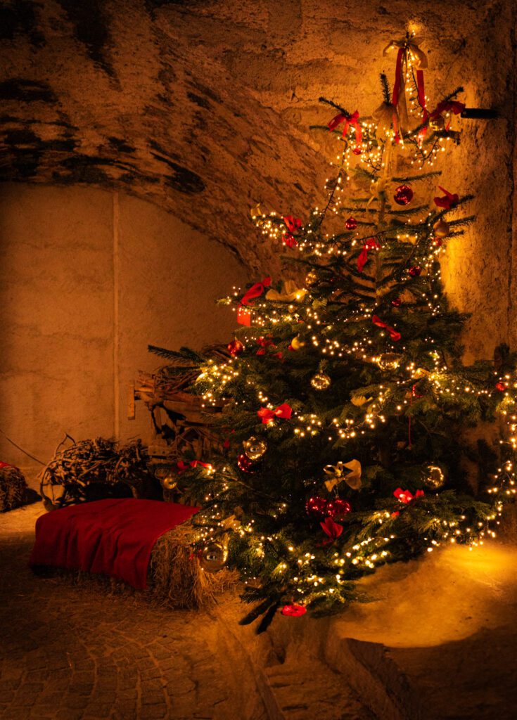 Lit Christmas Tree in a dark corner.