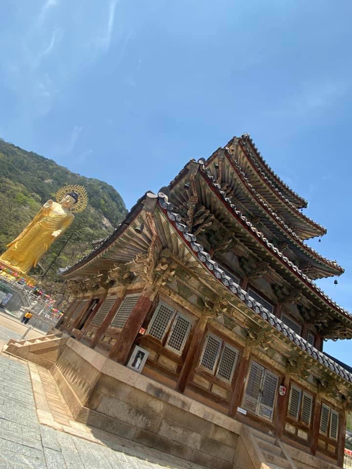 Gold Buddha Statue with a pagoda in the front