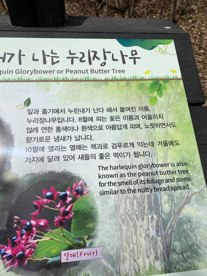 Korea National Parks offers signboards in English and in Korean.