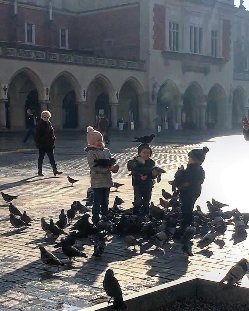 Children playing with pigeons in Krakow