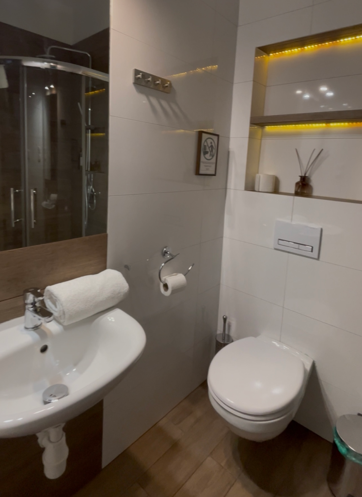 a modern bathroom with a toilet, sink, mirror reflecting a shower and a shelving unit that has toilettries on it that is lit up at Wawel Residence