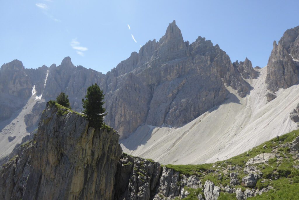 A Large Scree field dominates the picture as a tree pokes out above the earth on the Alta Via 2