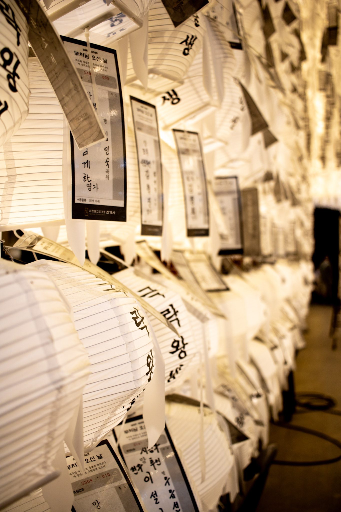 White Lanterns hanging at Jogyesa Temple