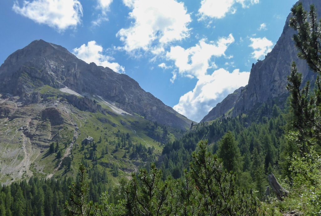 Mountains with lush green alpine trees against a blue sky