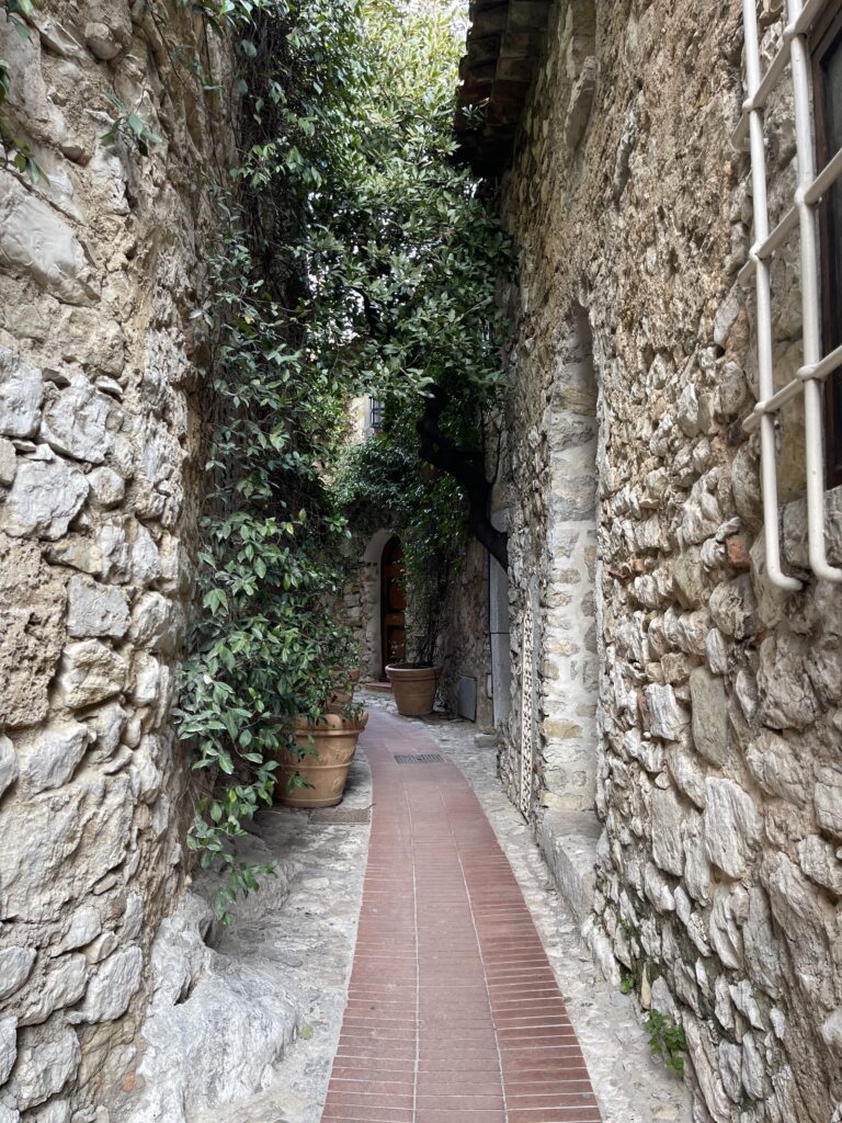 Narrow alleyways of Eze that are covered in green vines