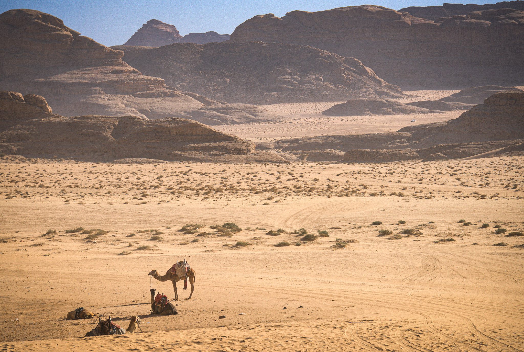 The desert landscape of Wadi Rum