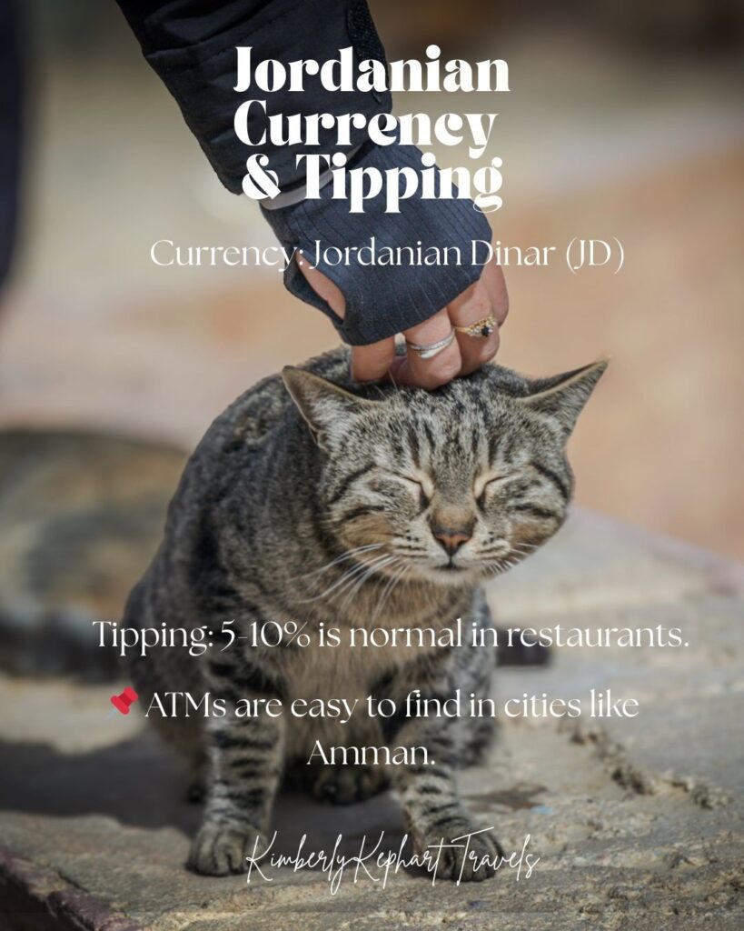 A Photo with the words Jordanian Currency and Tipping. The Background is a cat being pet