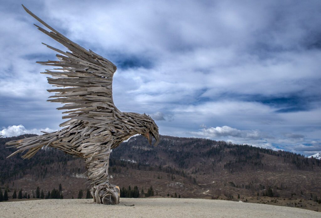 Aquila Vaia Enego Italy standing tall against a mountainous background