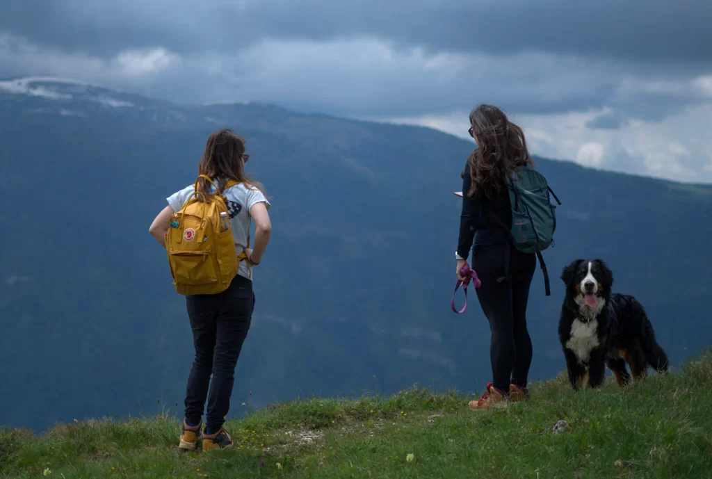 Two women on a mountain with a panoramic view while a dog looks at camera.