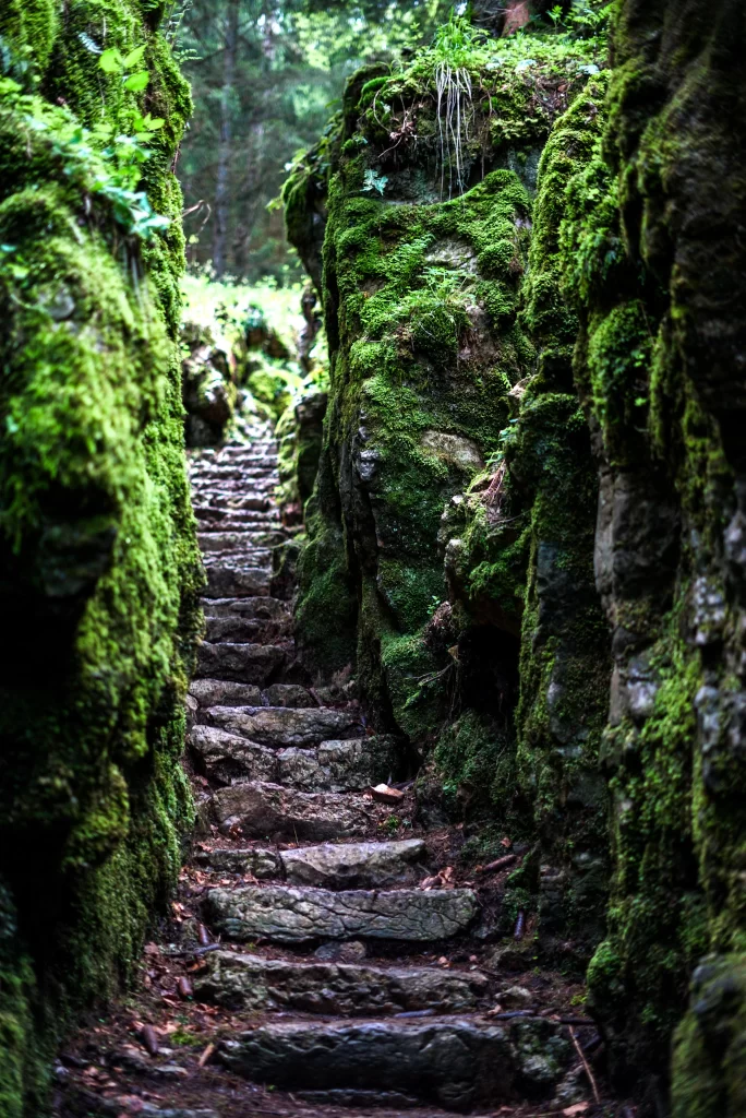 Stone Stairs with moss covered ledges leading into a forest in Italy. This is the Wolfs Gorge