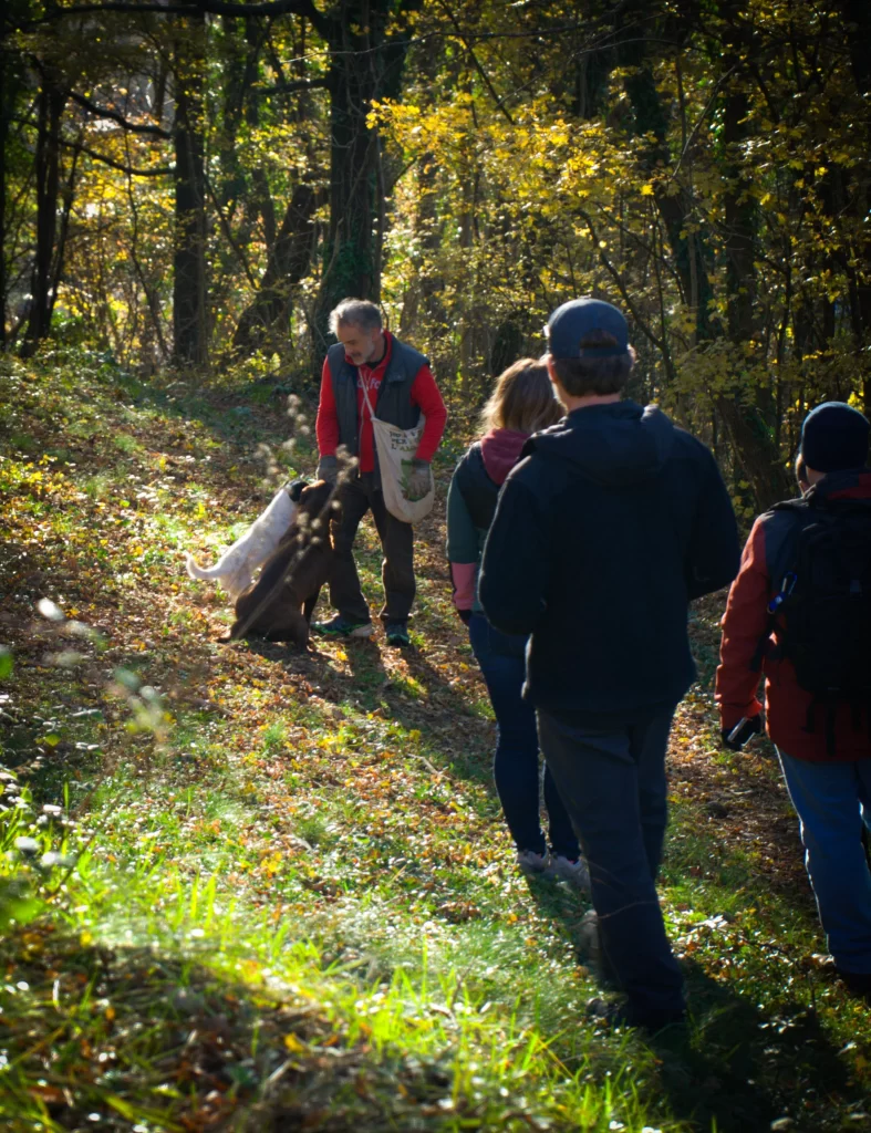 A Crowd of people on green grass gather around truffle hunting dogs to see the catch in the daylight