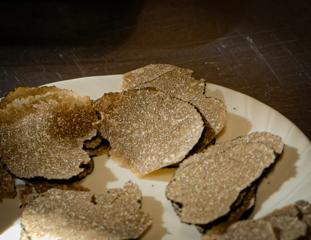 Plate with brown truffles that are thinly sliced