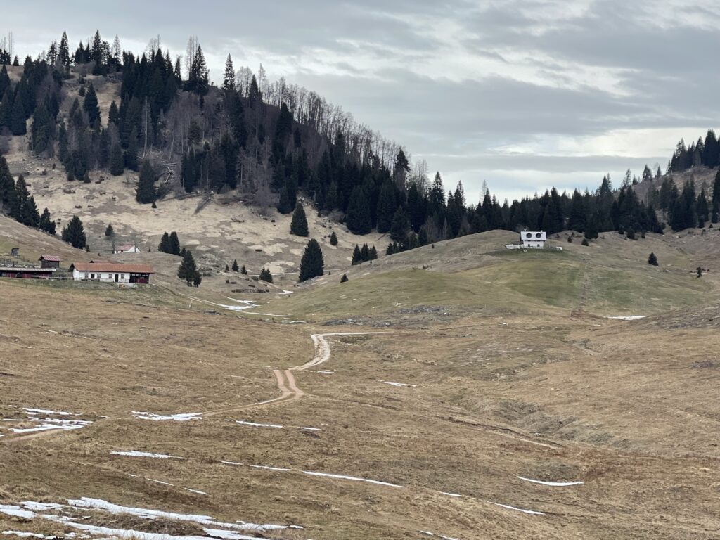 Alpine views from the Marcesina plateau