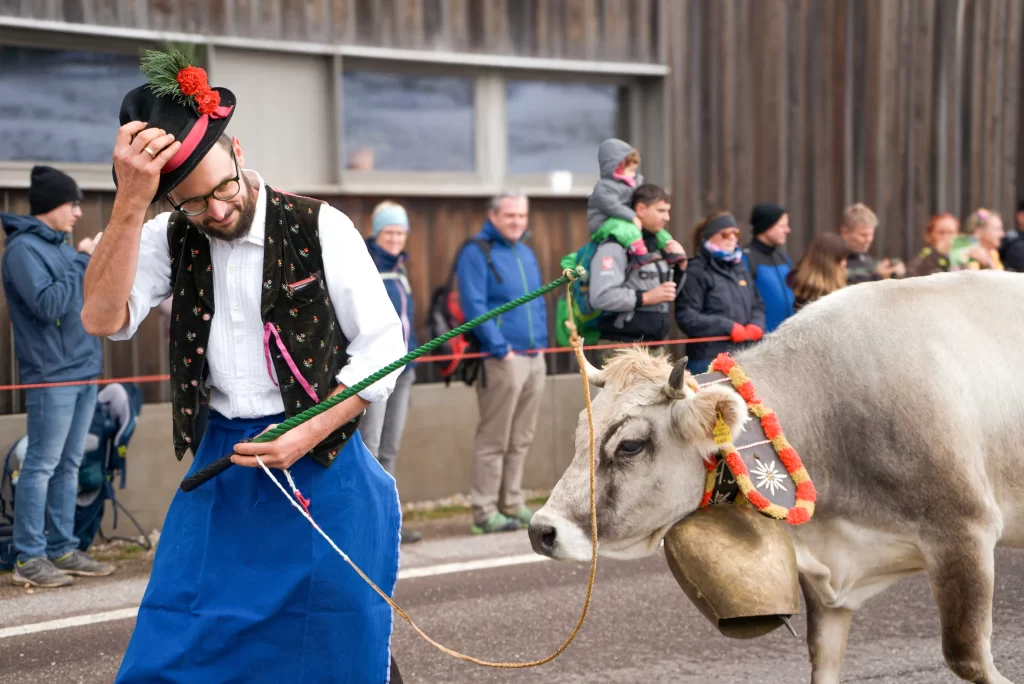  a man with a black hat with a red bow wearing a white shirt with embroidery and a vest with flowers and a blue apron tips his hat as he walks with his grew cow that has a big bell around his neck. 