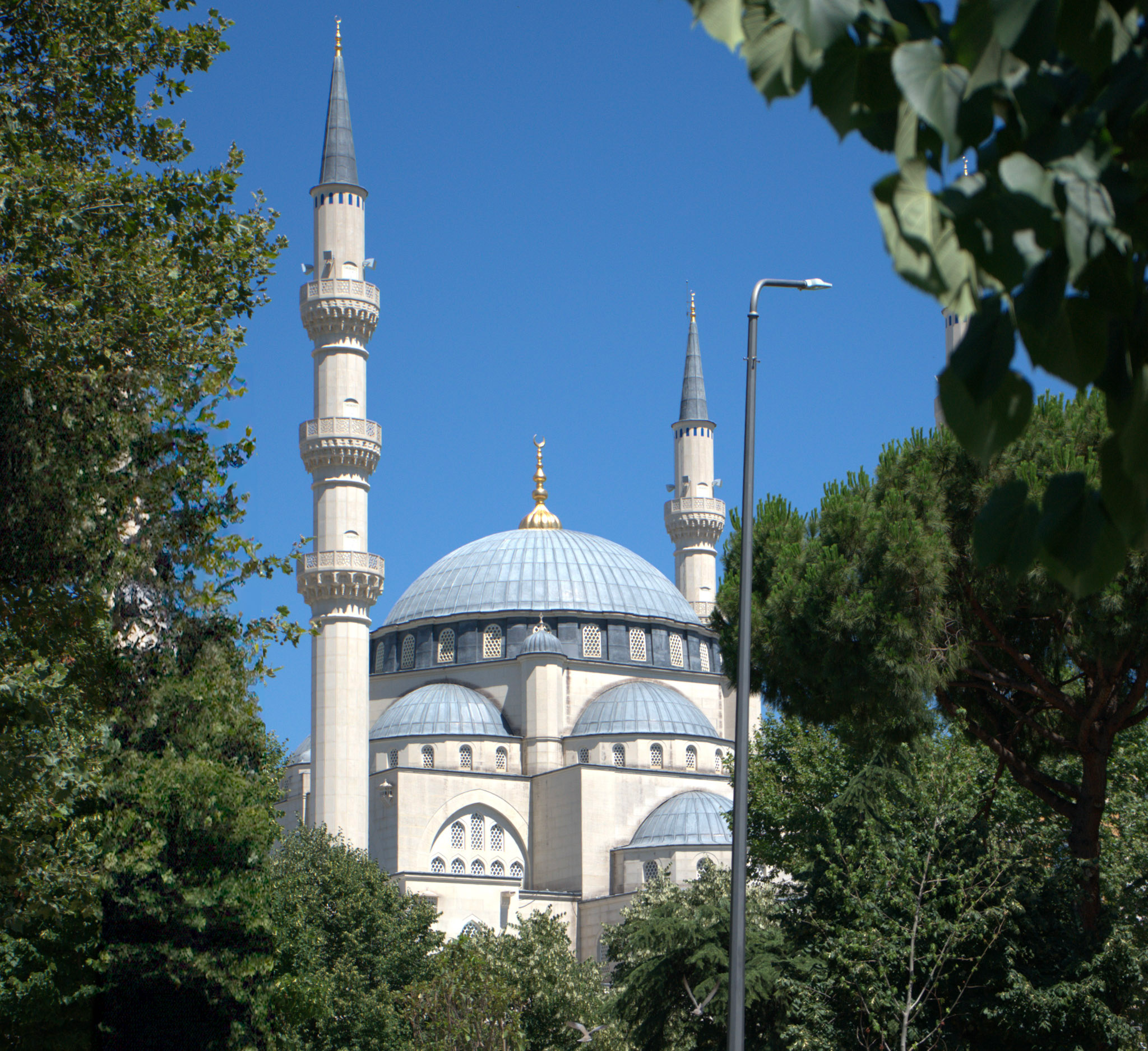 Tiranas newest mosque framed perfectly by the trees with the blue sky behind it