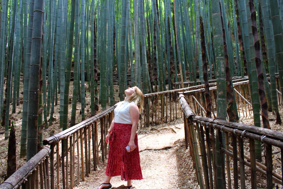 a woman looking up at the bamboo trees around her