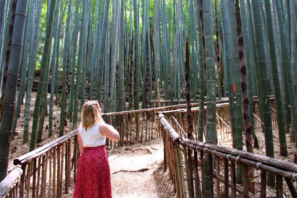 woman in white top and red polka dot skirt looks up at the bamboo