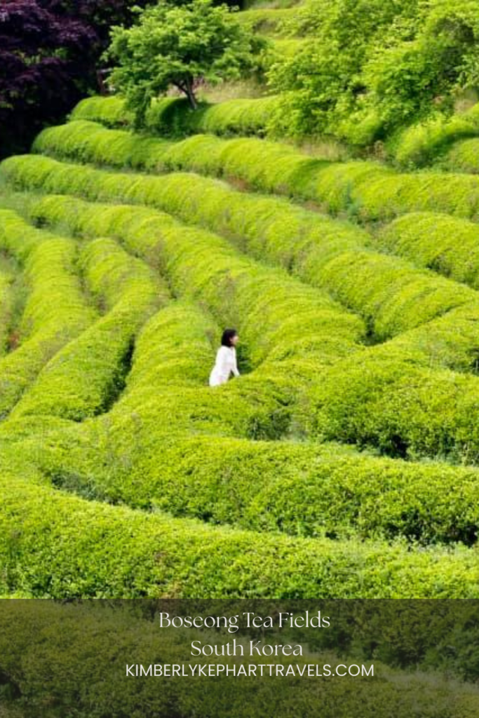 Woman walking up the vibrant green Boseong terraced tea fields with black hair and white top
