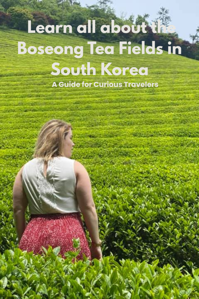 woman in white tank top with a red polka dot skirt staring off into the Boseong Tea Fields in South Korea