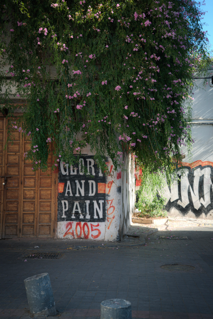 Glory and Pain Graffiti in Casablanca medina walls