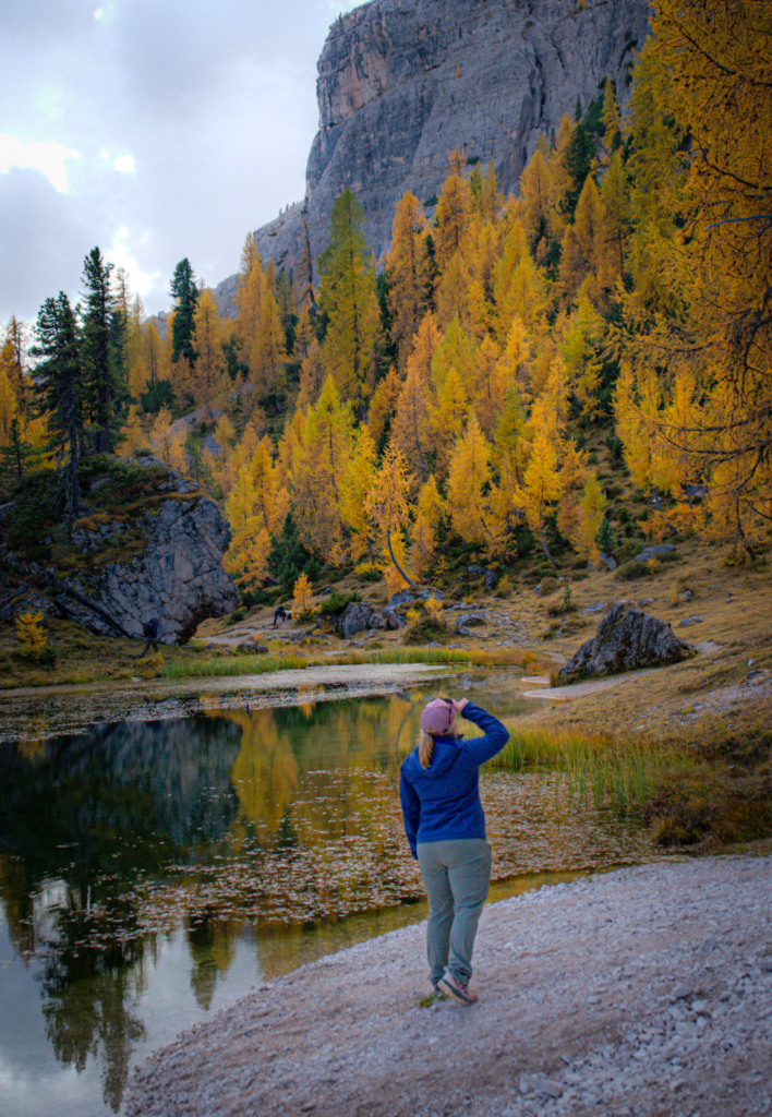Woman in a blue jacket stands on a shore looking at the golden larches of Lago Federa