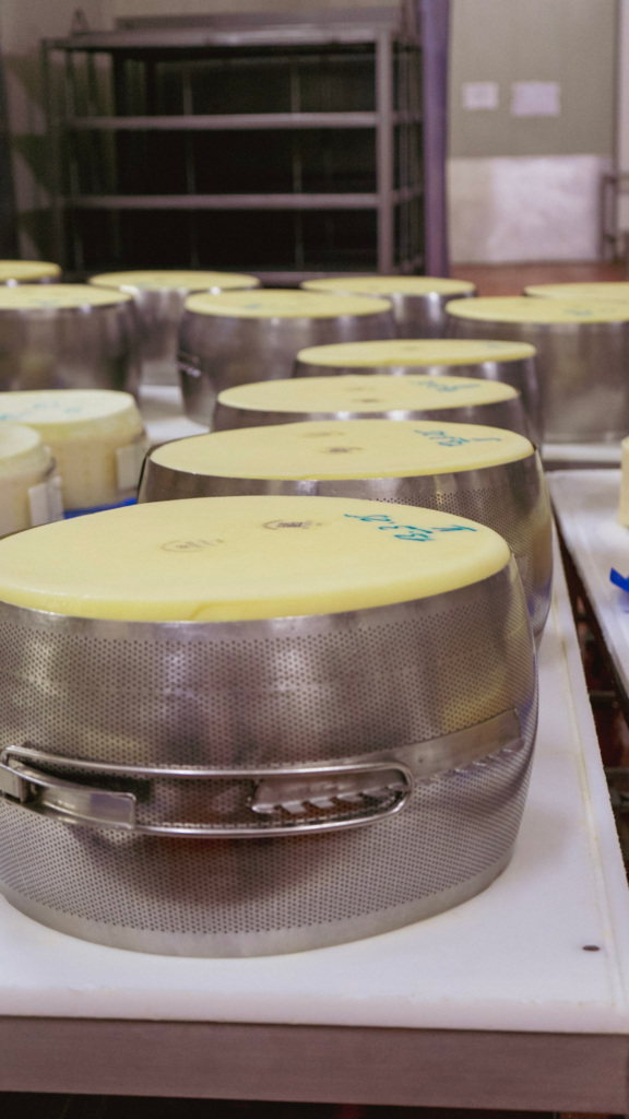 Cheese in stainless steel forms sitting on a table in a bright lit room at Caseifico Pennar