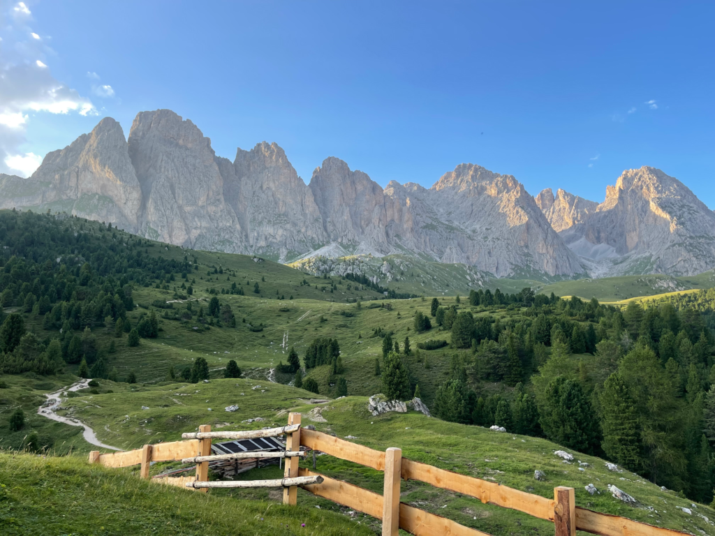 Wooden stile and trail in a meadow overlook the forested valley and towering Sass Rigais massif in golden evening light, approaching Rifugio Firenze on Alta Via 2.