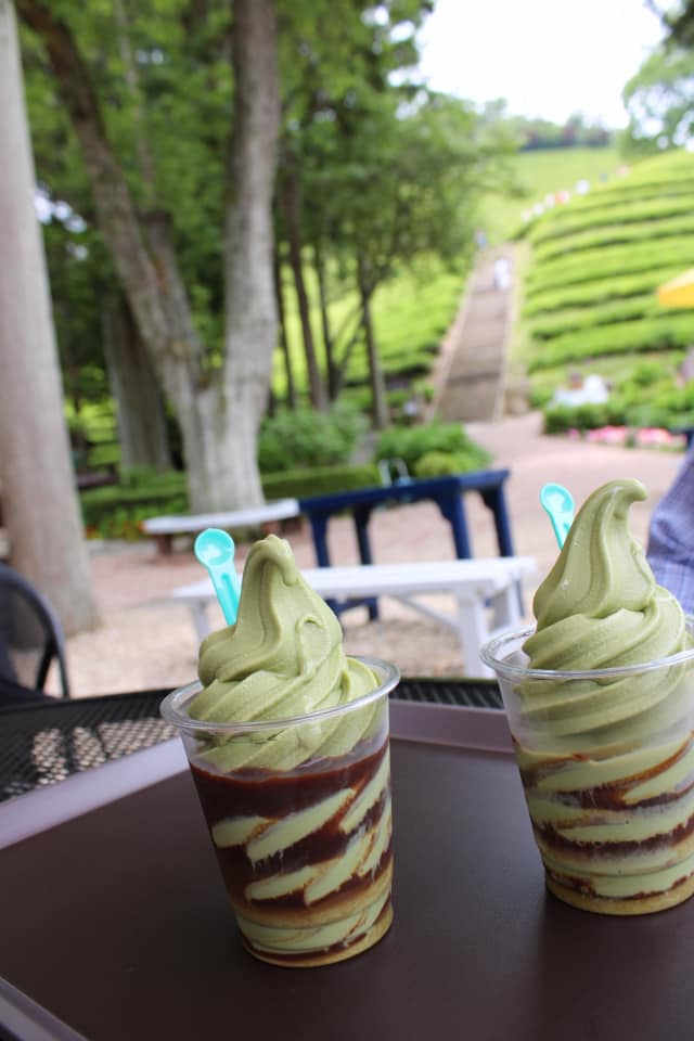 Two Green Tea Ice Cream affogatos sitting on a table with the green tea terraced fields in the background