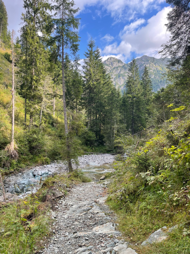 a Picture of the Piave river and a trail beside it with Monte Peralba peering through the back