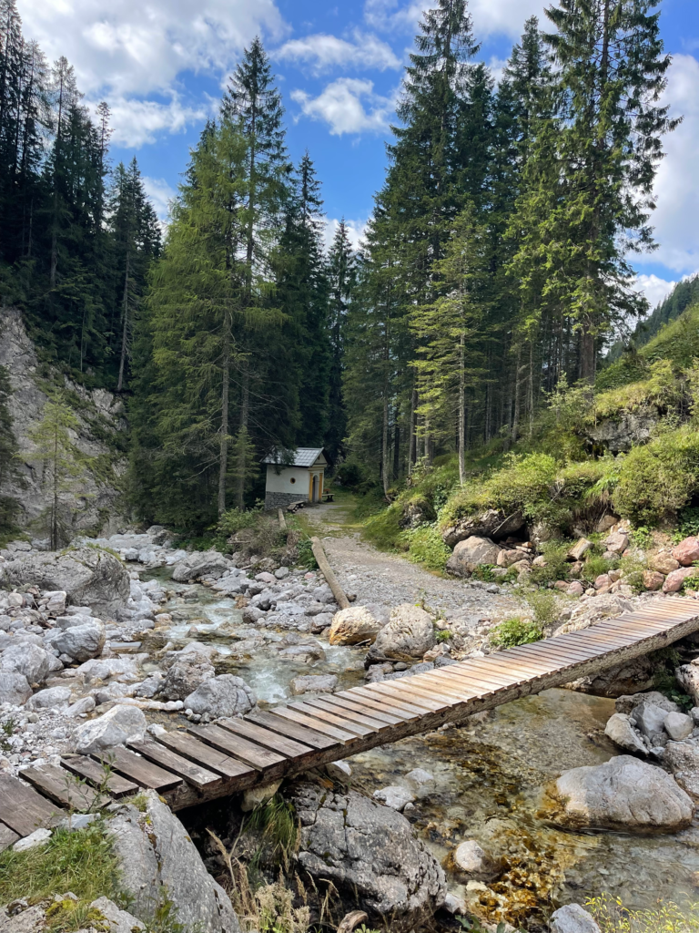 A Wooden Bridge crossing over a stream in vibrant green woods.