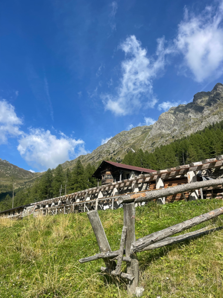 Casera fleons roof sticks out above a fenceline with a blue sky
